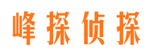 双城市私人调查